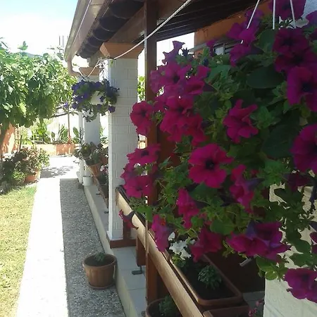 Adriana Saina Appartement